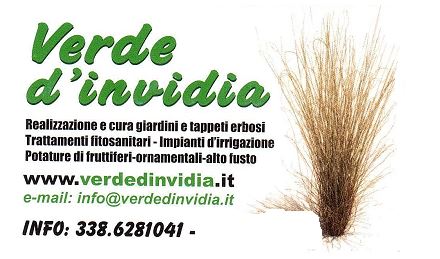 VERDE D' INVIDIA , GIARDINAGGIO BIELLA