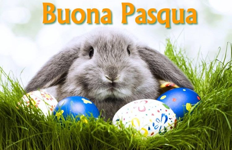 BUONA PASQUA!