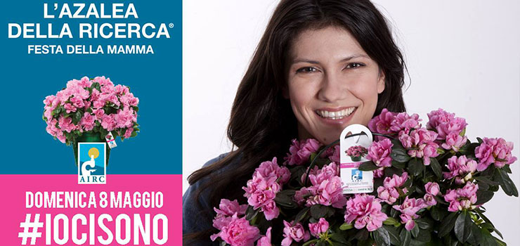 DOMENICA 08 MAGGIO PER LA FESTA DELLA MAMMA REGALA L'AZALEA DELLA RICERCA CONTRO I TUMORI FEMMINILI