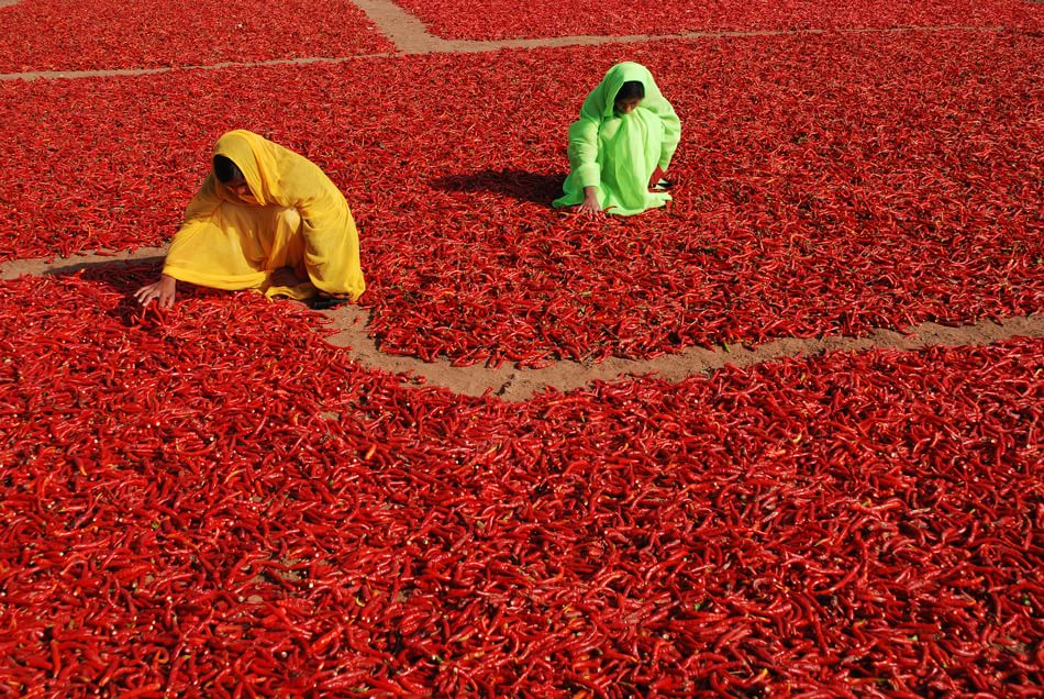 AL MAO DI TORINO SULLA ROTTA DELLE SPEZIE  - TERRE POPOLI CONQUISTE