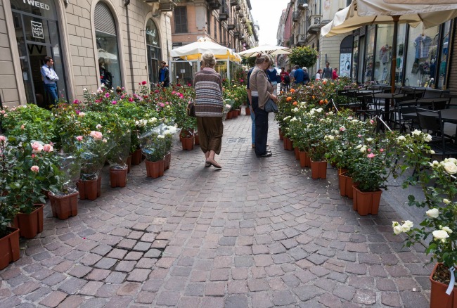 TORINO FLOR PRIMAVERA 2015 DAL 22 AL 24 MAGGIO