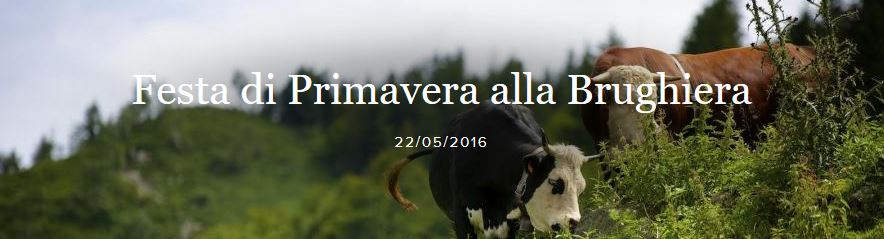 FESTA DI PRIMAVERA ALL'OASI ZEGNA DOMENICA 22 MAGGIO