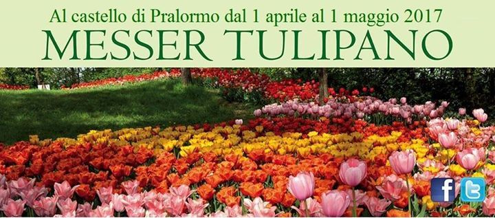 MESSER TULIPANO AL CASTELLO DI PRALORMO DAL 01 APRILE AL 01 MAGGIO 2017