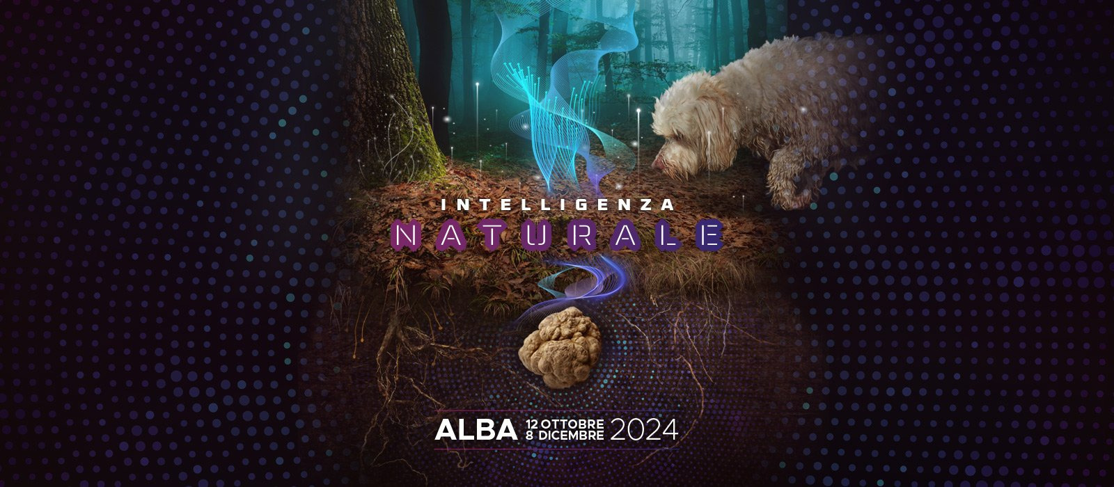 ALBA - FIERA INTERNAZIONALE DEL TARTUFO 2024