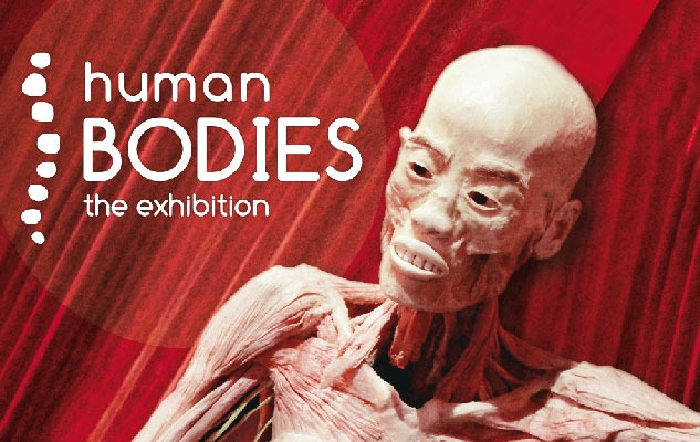 TORINO - HUMAN BODIES THE EXIBITION DAL 25-11-2017 AL 25-02-2018