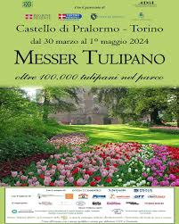MESSER TULIPANO AL CASTELLO DI PRALORMO (TO)